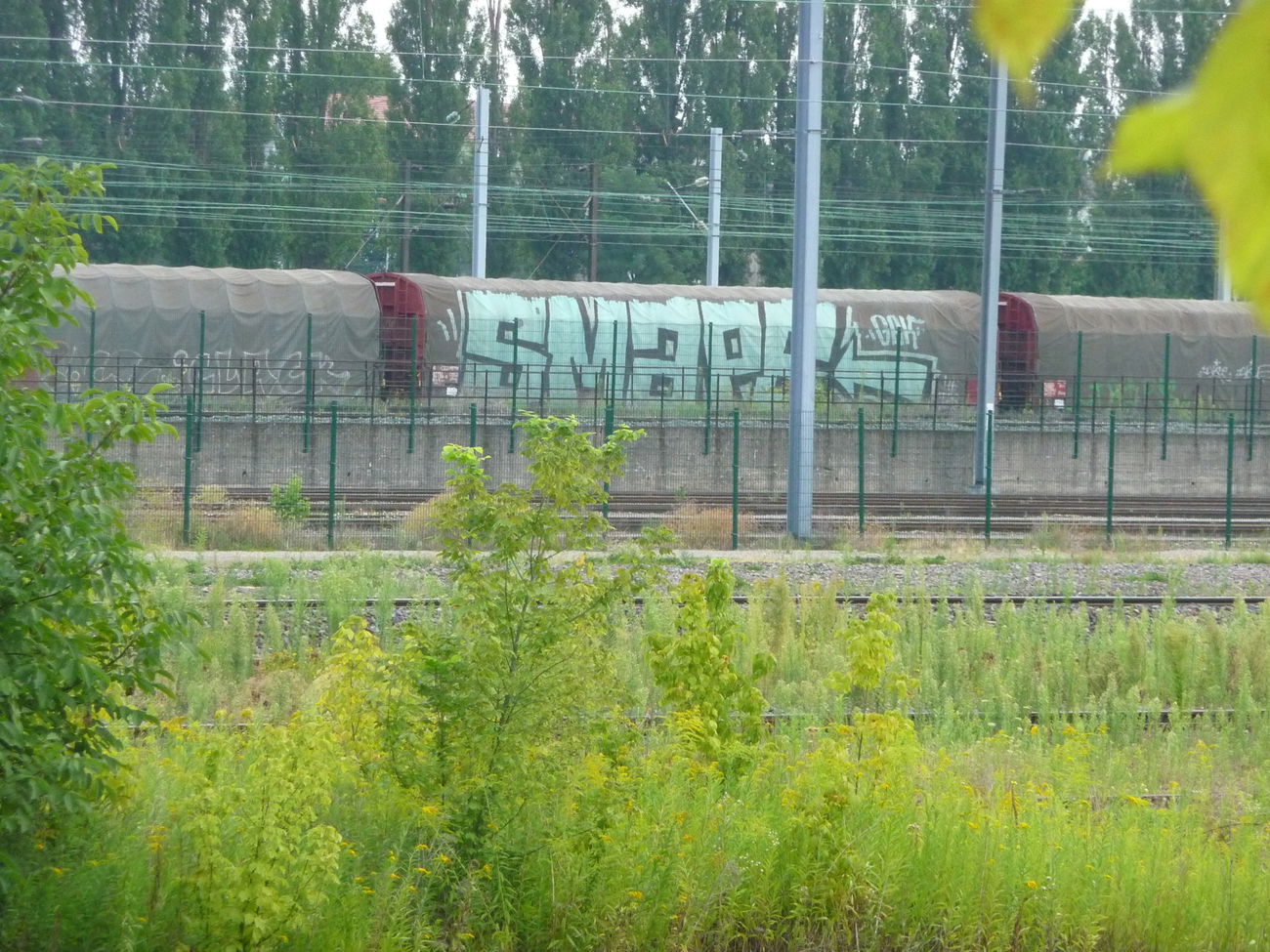 Graffiti Train - Photo by strasbourgraffiti