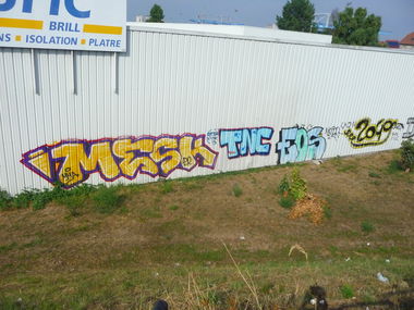 Graffiti Bombing - Photo by strasbourgraffiti