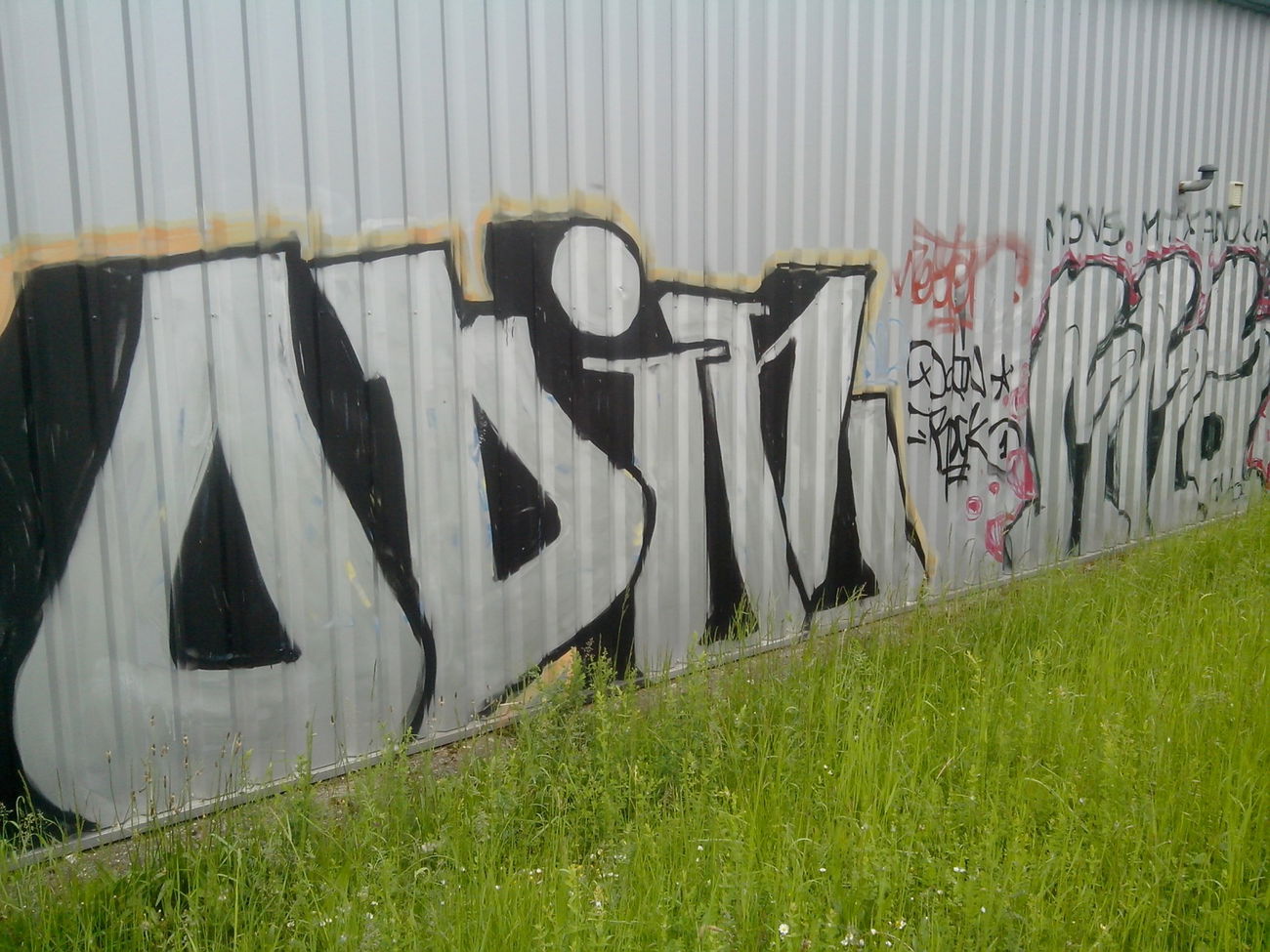 Graffiti Bombing - Photo by strasbourgraffiti