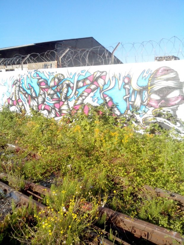 Graffiti Wall - Photo by strasbourgraffiti