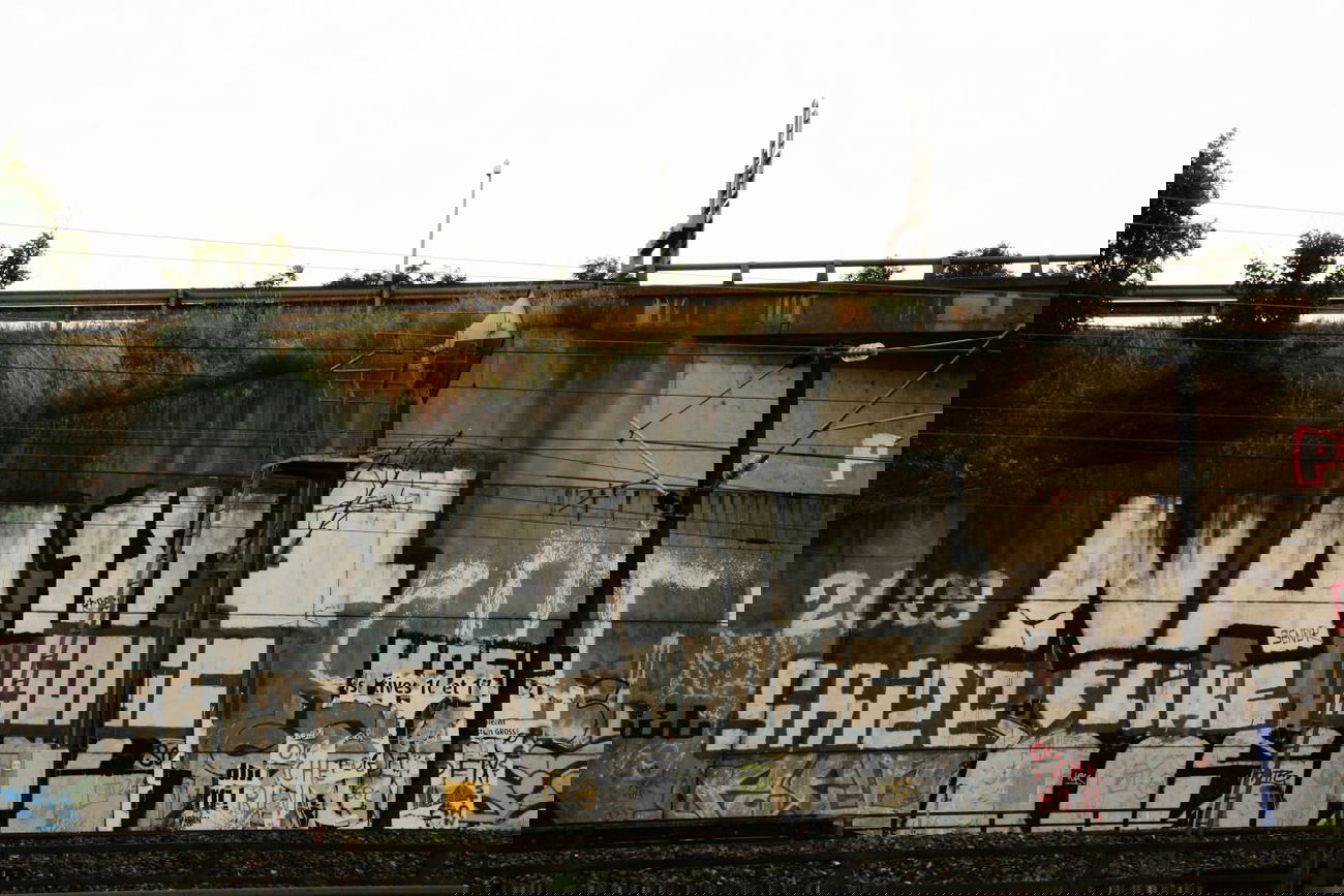 Graffiti Bombing in Strasbourg - Photo by strasbourgraffiti - NA, 1st, Srize