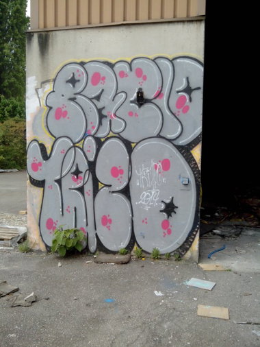 Graffiti Wall in Schiltigheim - Photo by strasbourgraffiti - Trizo, Raclo, strasbourg (2014)