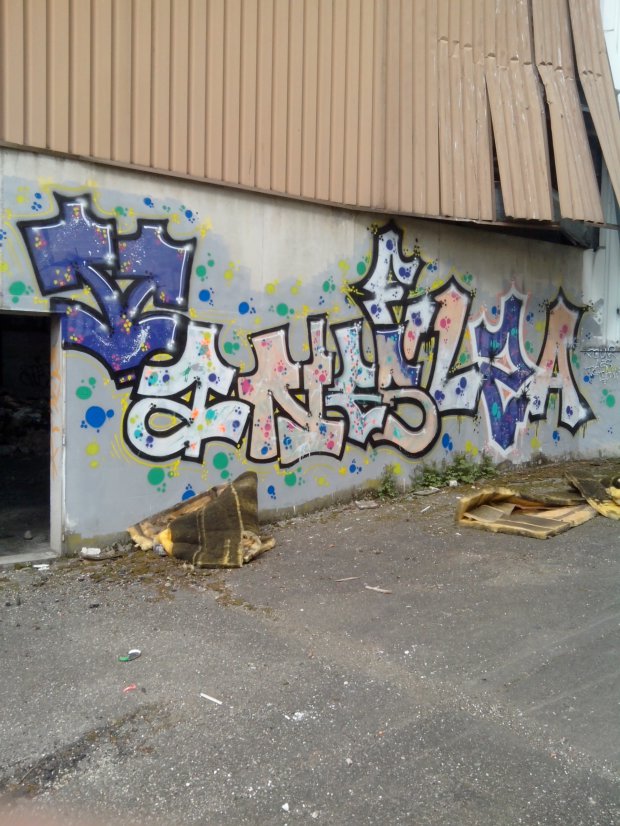 Graffiti Wall in Schiltigheim - Photo by strasbourgraffiti - Vanes, Elsa, Graffiti