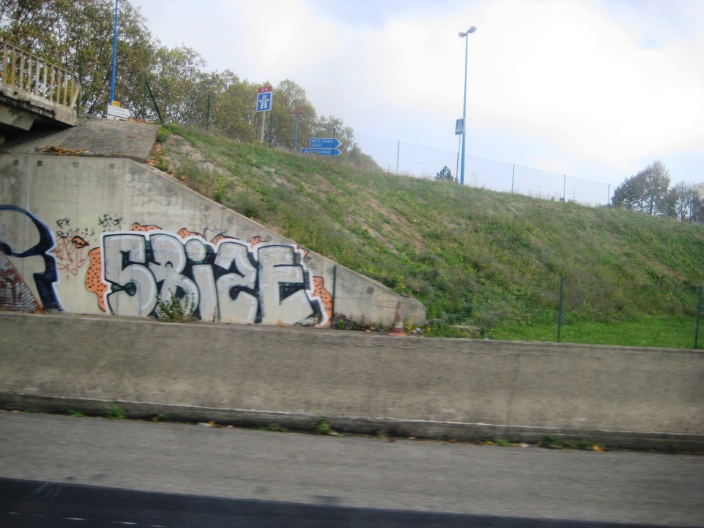 Graffiti Bombing in Schiltigheim - Photo by strasbourgraffiti - Srize, TFG, Strasbourg