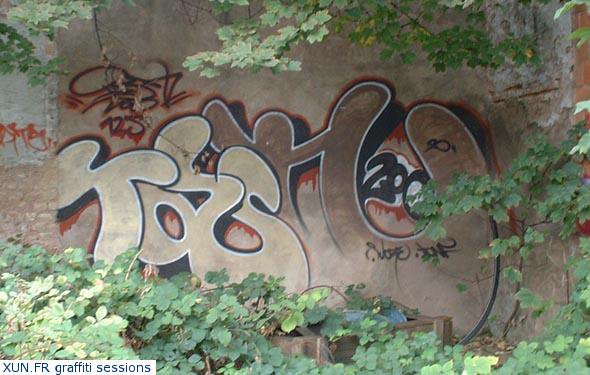 Graffiti Bombing - Photo by strasbourgraffiti - Tash200, strasbourg, france
