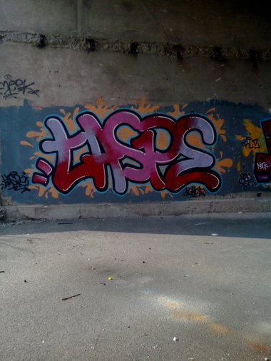 Graffiti Wall - Photo by strasbourgraffiti - taspe, acp, strasbourg (2014)