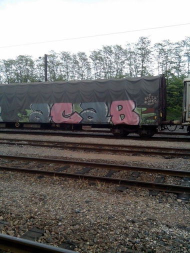 Graffiti Train in Mundolsheim - Photo by strasbourgraffiti - ACAB, trains, fret