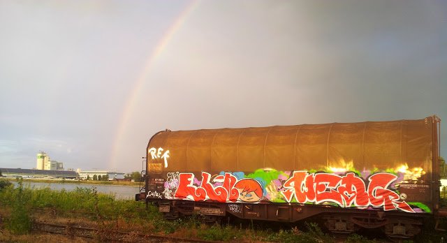 Graffiti Train - Photo by strasbourgraffiti - elno, weng, trains