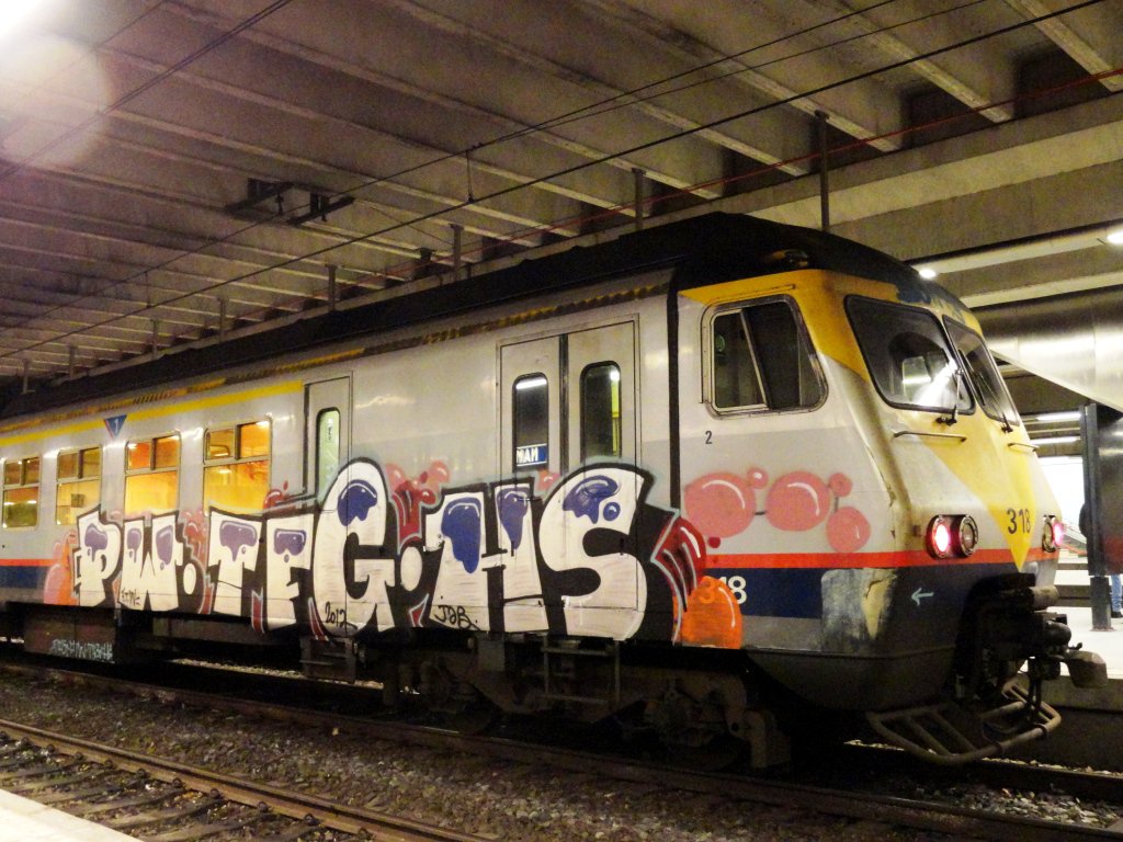 Graffiti Train - Photo by strasbourgraffiti - PW, TFG, HS