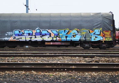 Graffiti Train - Photo by strasbourgraffiti - trains, srize, tfg (2010)