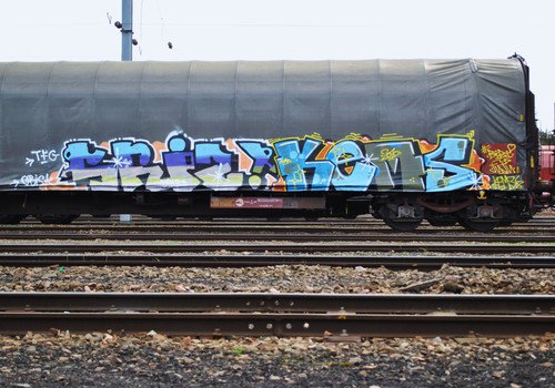 Graffiti Train - Photo by strasbourgraffiti - trains, srize, tfg (2010)