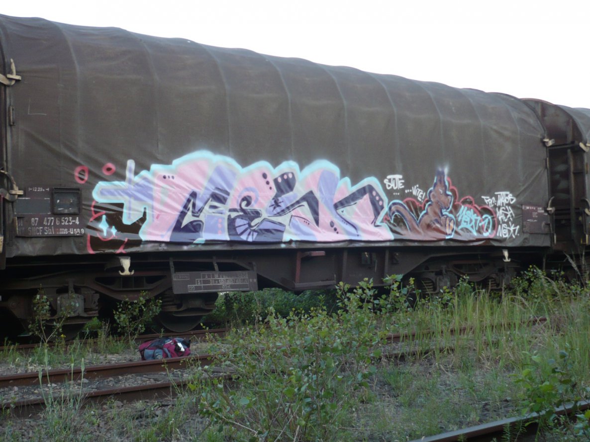 Graffiti Train - Photo by strasbourgraffiti - Mesk1, strasbourg, mma