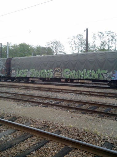 Graffiti Train in Mundolsheim - Photo by strasbourgraffiti - fret, trains, graffiti
