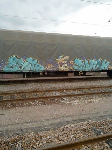 Graffiti Train in Mundolsheim - Photo by strasbourgraffiti - viking, strasbourg, graffiti