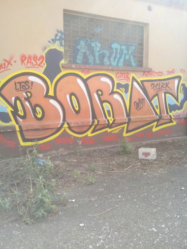 Graffiti Bombing in Schiltigheim - Photo by strasbourgraffiti - Borat, strasbourg, graffiti (2014)