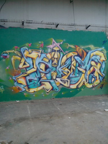 Graffiti Wall in Schiltigheim - Photo by strasbourgraffiti - berns, dgf, strasbourg (2014)