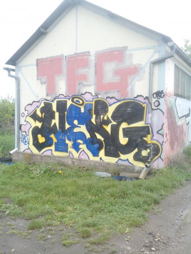 Graffiti Bombing in Bischheim - Photo by strasbourgraffiti - weng, lzr, tfg