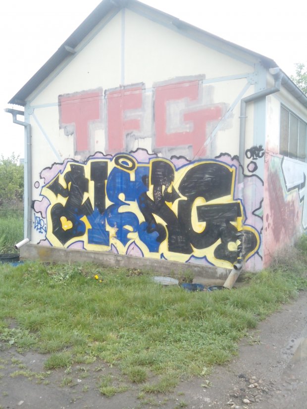 Graffiti Bombing in Bischheim - Photo by strasbourgraffiti - weng, lzr, tfg