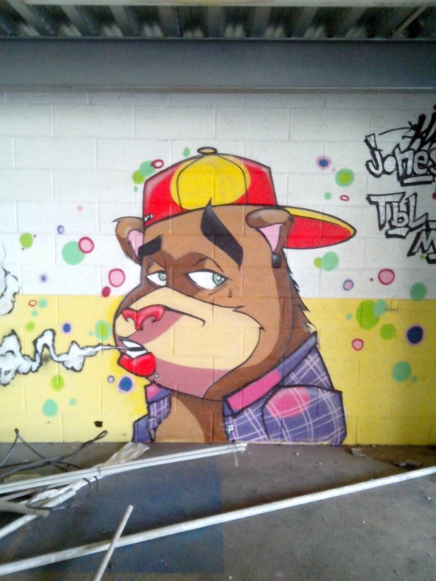 Graffiti Wall in Schiltigheim - Photo by strasbourgraffiti - Bear, art, streetart (2014)