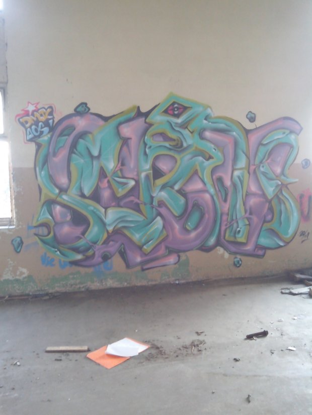Graffiti Wall in Schiltigheim - Photo by strasbourgraffiti - BERNS (2014)