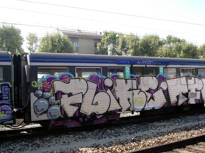 Graffiti Train - Photo by strasbourgraffiti - Flike, tfg, strasbourg