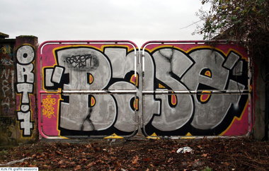 Graffiti Bombing - Photo by strasbourgraffiti - base