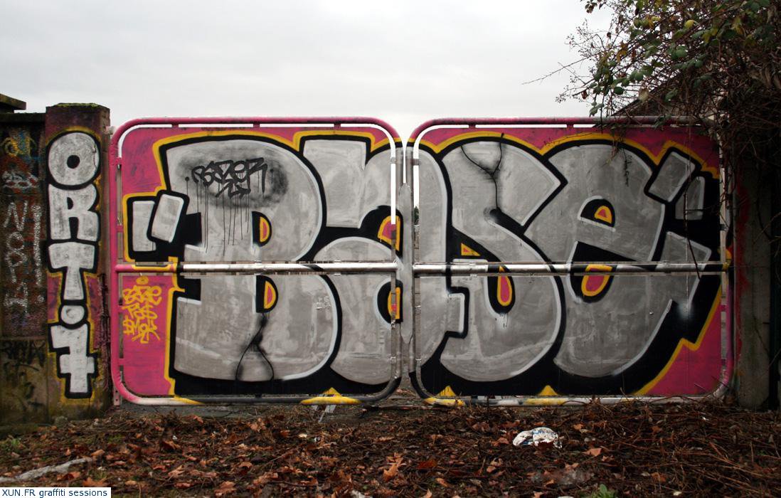 Graffiti Bombing - Photo by strasbourgraffiti - base