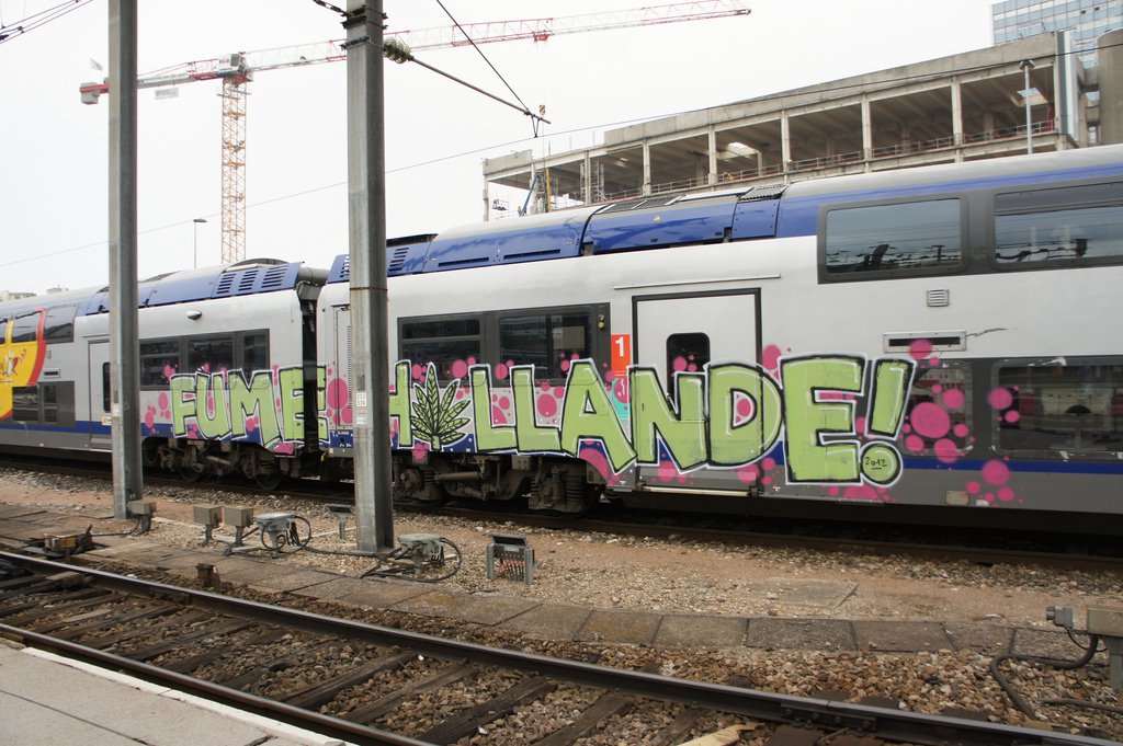 Graffiti Train - Photo by strasbourgraffiti - trains, fume, hollande