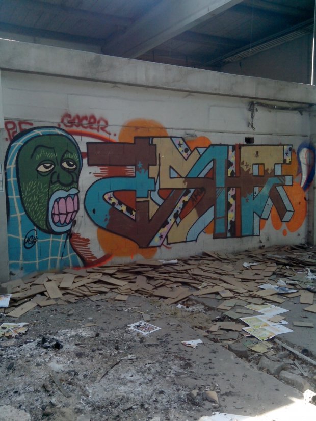 Graffiti Wall in Schiltigheim - Photo by strasbourgraffiti - ash (2014)