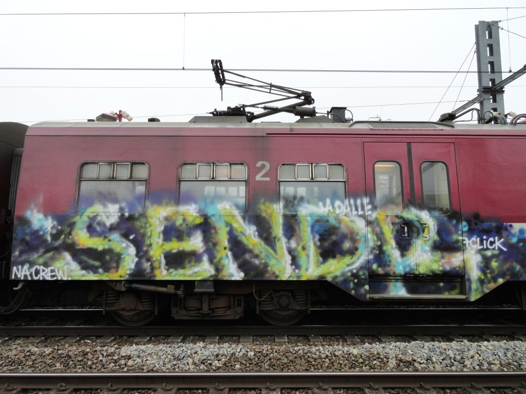 Graffiti Train - Photo by strasbourgraffiti - Sendr, trains, NA