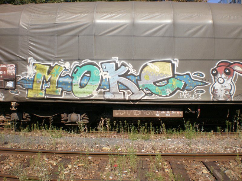 Graffiti Train - Photo by strasbourgraffiti - Moke, fret