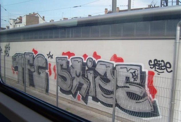 Graffiti Bombing - Photo by strasbourgraffiti - tfg, srize