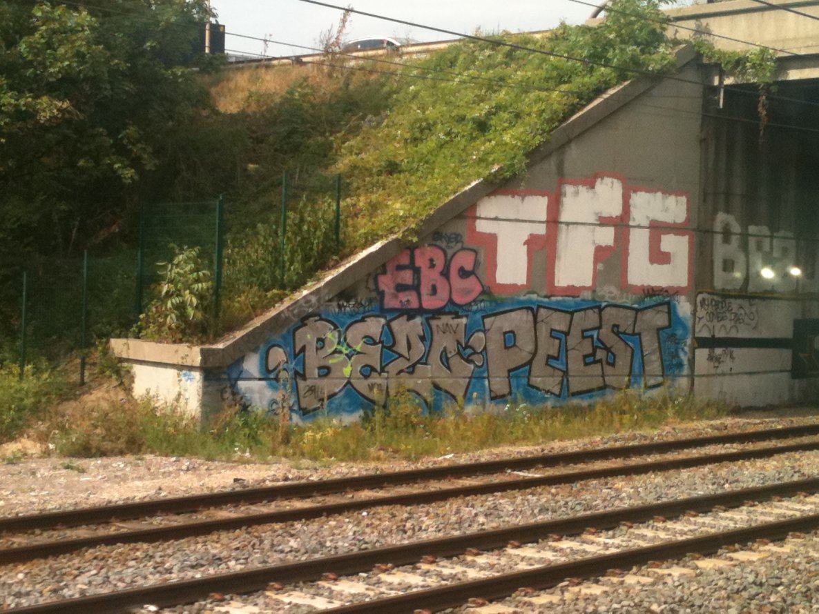 Graffiti Bombing in Strasbourg - Photo by strasbourgraffiti - tfg, ebc, bezo