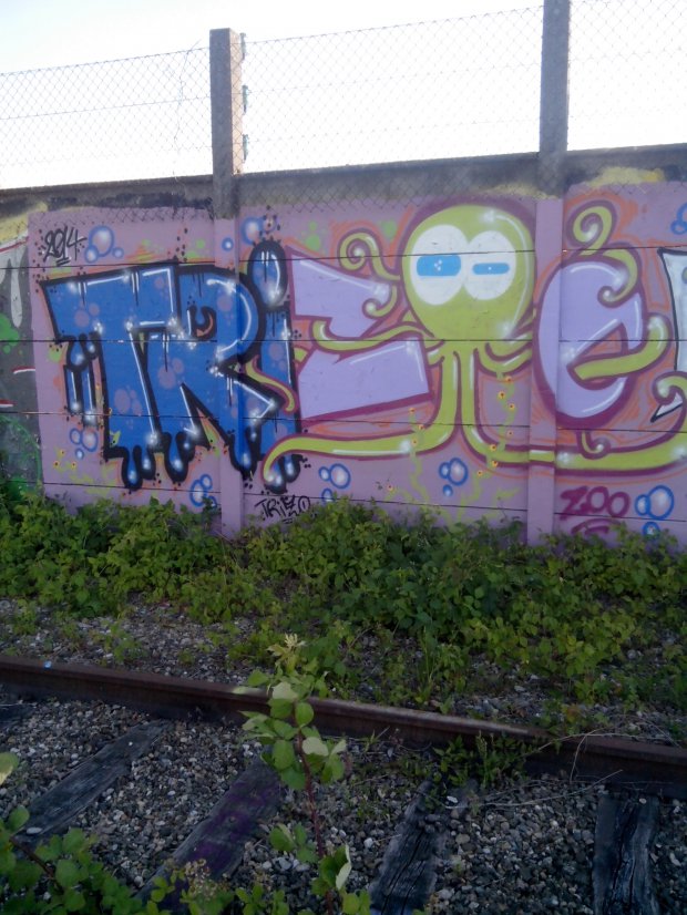Graffiti Wall - Photo by strasbourgraffiti - trizo, 7 (2014)