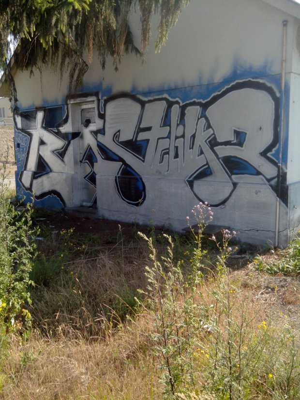 Graffiti Bombing in Strasbourg - Photo by strasbourgraffiti - Ras2, 7click