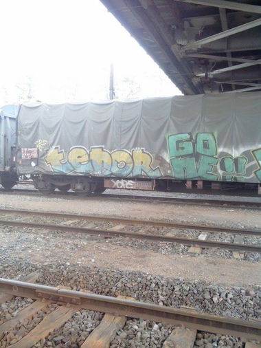 Graffiti Train in Mundolsheim - Photo by strasbourgraffiti - tenor, gone, fr8