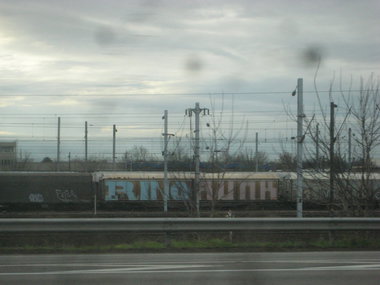 Graffiti Train - Photo by strasbourgraffiti - rino, runk, fr8