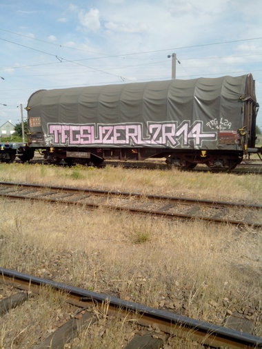 Graffiti Train - Photo by strasbourgraffiti - tfg, suzer, lzr (2014)