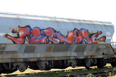 Graffiti Train - Photo by strasbourgraffiti - rensone, fr8