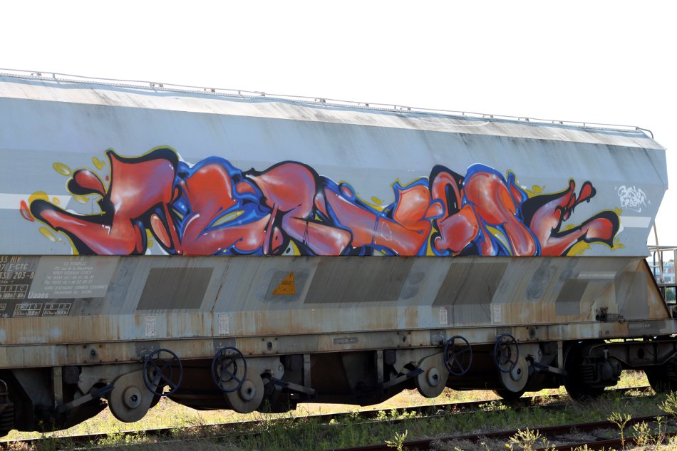 Graffiti Train - Photo by strasbourgraffiti - rensone, fr8