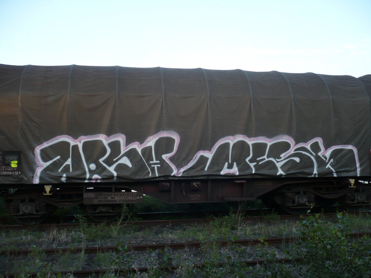 Graffiti Train - Photo by strasbourgraffiti - wash, mesk, mma