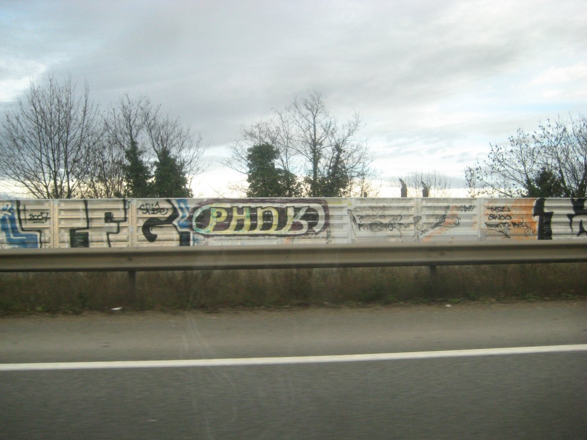 Graffiti Bombing in Schiltigheim - Photo by strasbourgraffiti - tfg, phnk, ptm
