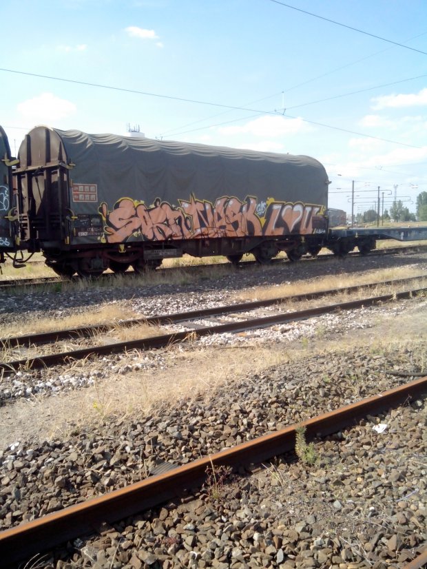 Graffiti Train in Strasbourg - Photo by strasbourgraffiti - Sorn, nask, lou