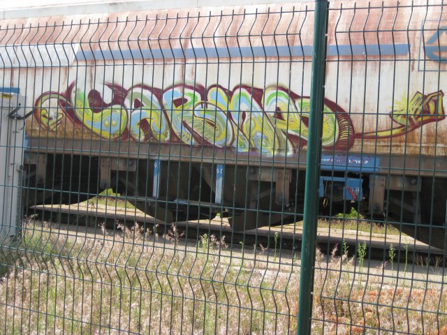 Graffiti Train - Photo by strasbourgraffiti - carma