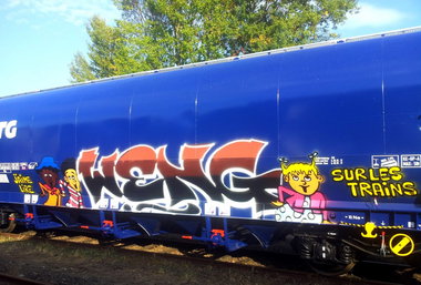 Graffiti Train - Photo by strasbourgraffiti - weng, tfg, lzr