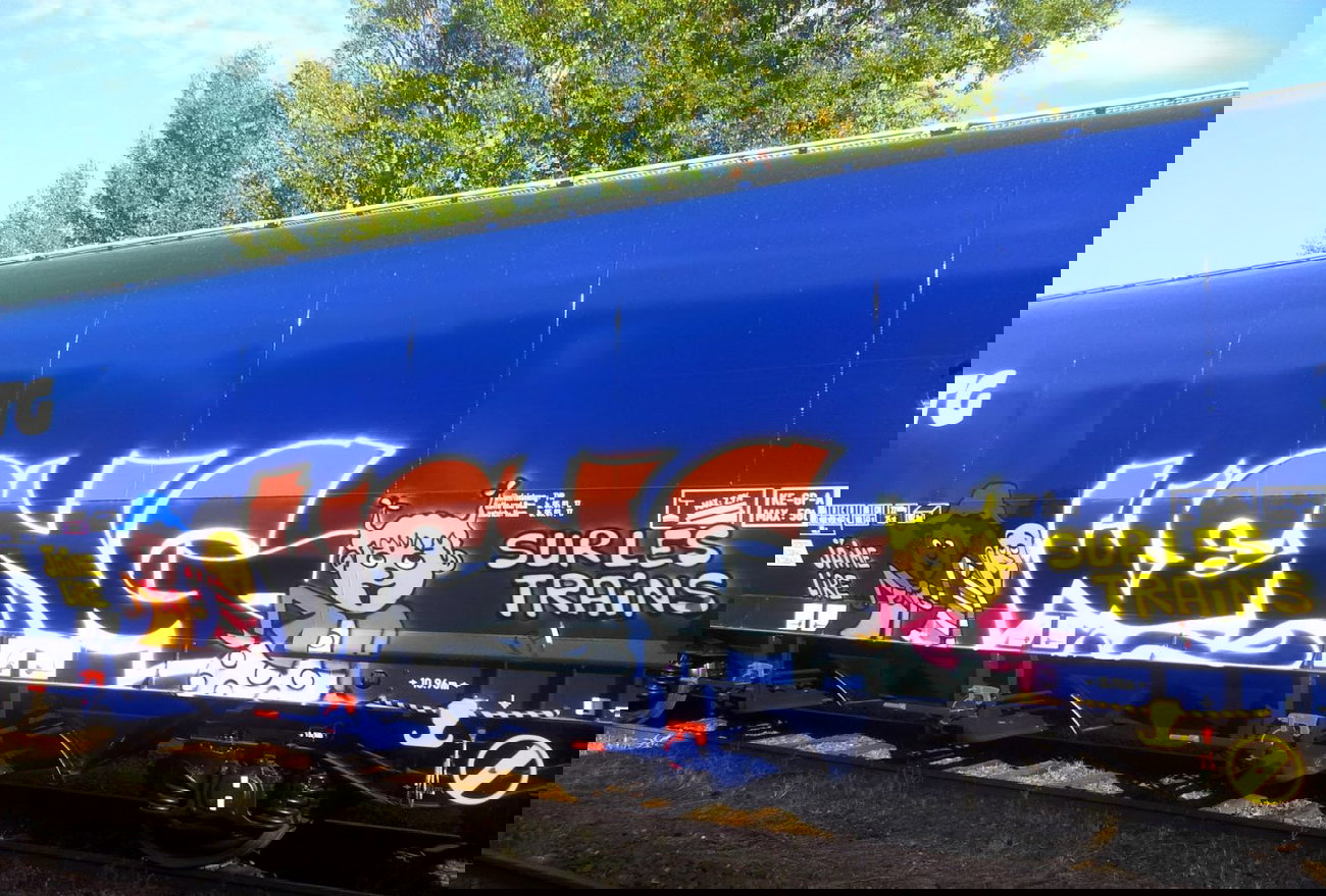 Graffiti Train - Photo by strasbourgraffiti - weng, tfg, lzr