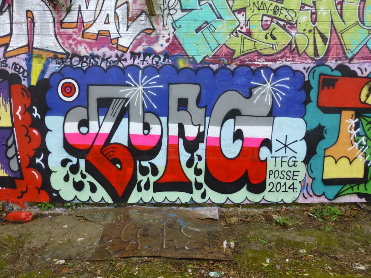 Graffiti Wall - Photo by strasbourgraffiti - tfg, crew