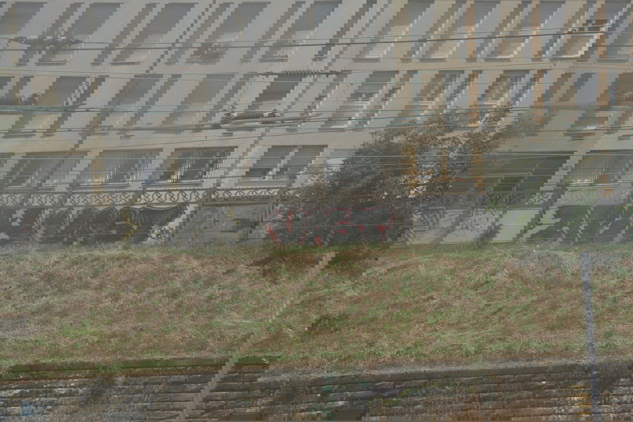 Graffiti Bombing in Metz - Photo by strasbourgraffiti