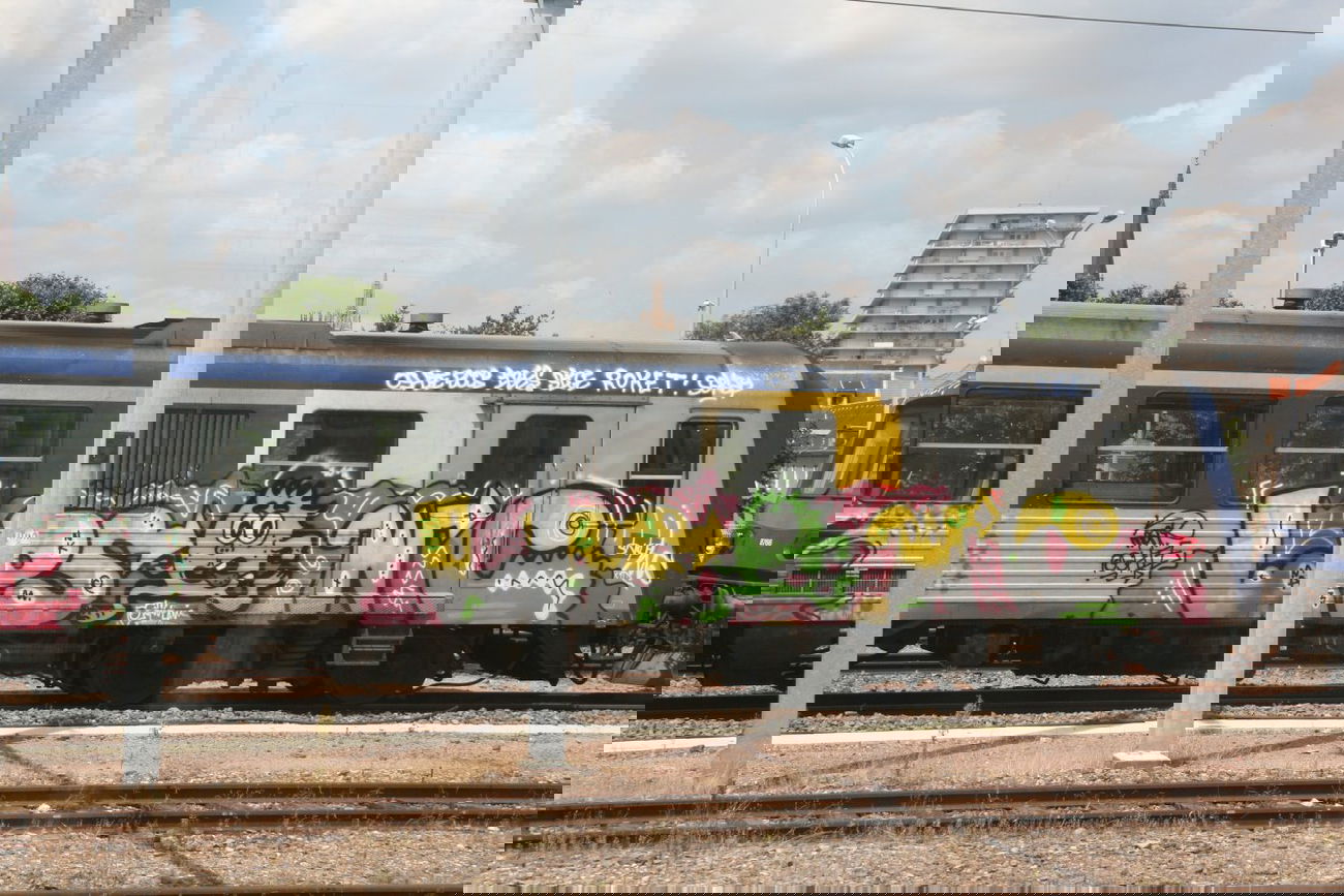 Graffiti Train in Metz - Photo by strasbourgraffiti - lps, wc