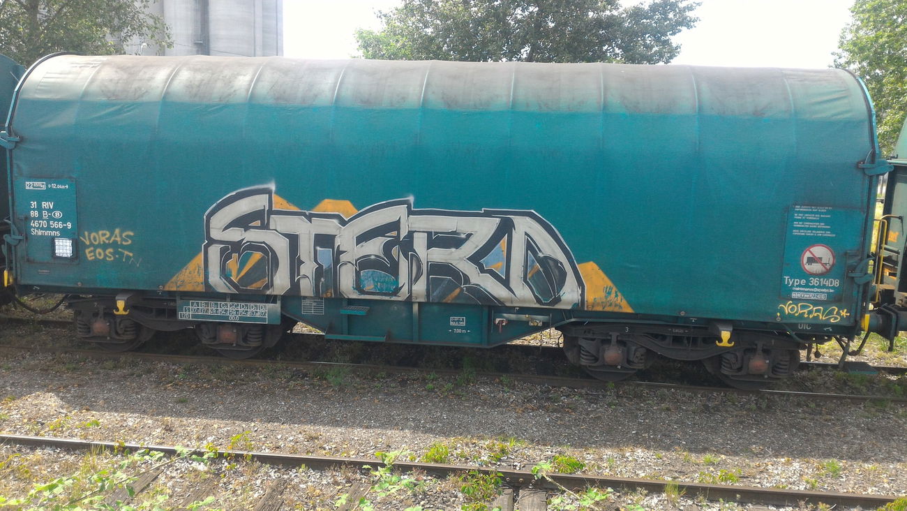 Graffiti Train - Photo by strasbourgraffiti